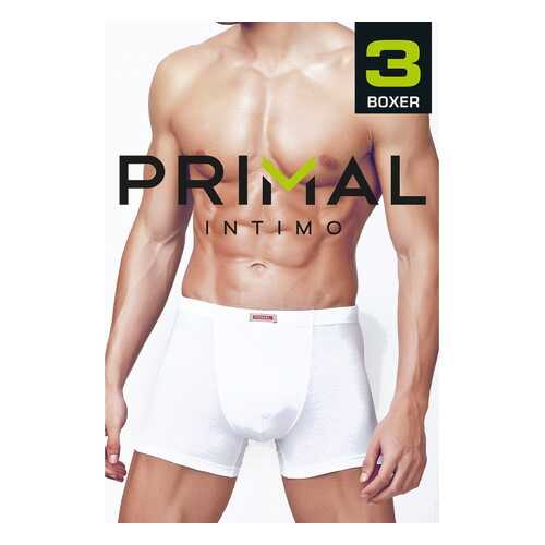 Трусы мужские мужские Primal белые XL в Инсити