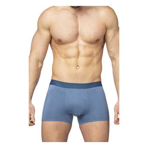 Трусы мужские SERGIO DALLINI SD2901 серые L в Инсити